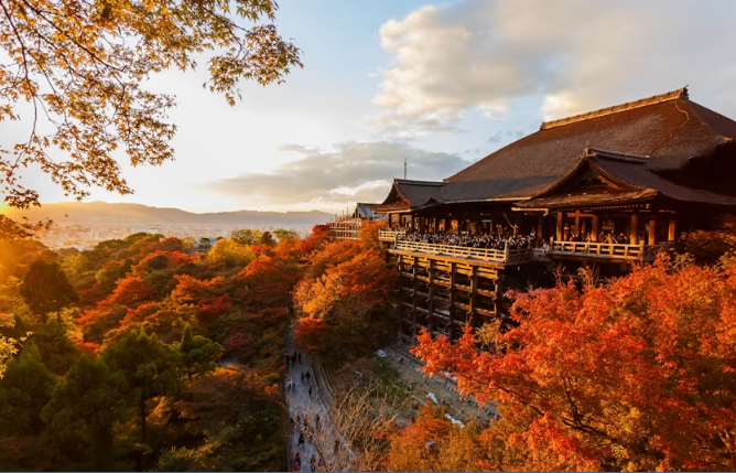 Nara, Kyoto and Fushimi Inari Guided Tour from Osaka - Image 3